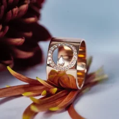 Bague B&eacute;n&eacute;dicte Burguet-Journ&eacute;