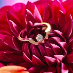 Bague Intr&eacute;pide petit arc 0.25ct