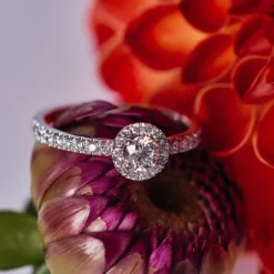 Solitaire Absolu.e Couronne 0.5ct pav&eacute;