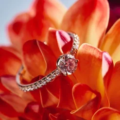 Solitaire Absolu.e 0.5ct pav&eacute;